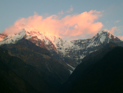 P000200884_S.jpg